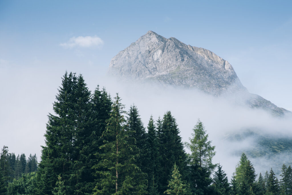 Berglandschaft in Lech im Sommer